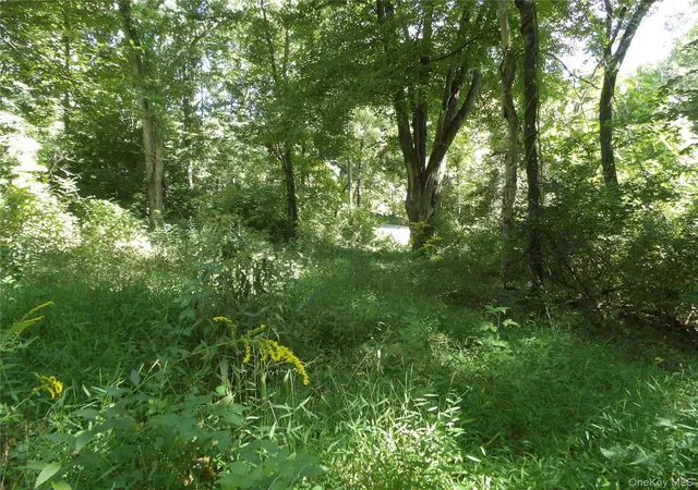 Photo 3 of Land for sale at 24 Hill Ln, East Fishkill, NY 12533 | MLS# 1050084 | Listing updated on 2026-09-19