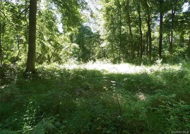 Photo 4 of Land for sale at 24 Hill Ln, East Fishkill, NY 12533 | MLS# 1050084 | Listing updated on 2026-09-19