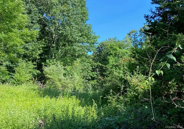 Photo 2 of Land for sale at Jerry, Amenia, NY 12592 | MLS# 1050163 | Listing updated on 2026-09-13