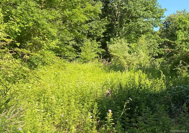 Photo 3 of Land for sale at Jerry, Amenia, NY 12592 | MLS# 1050163 | Listing updated on 2026-09-13