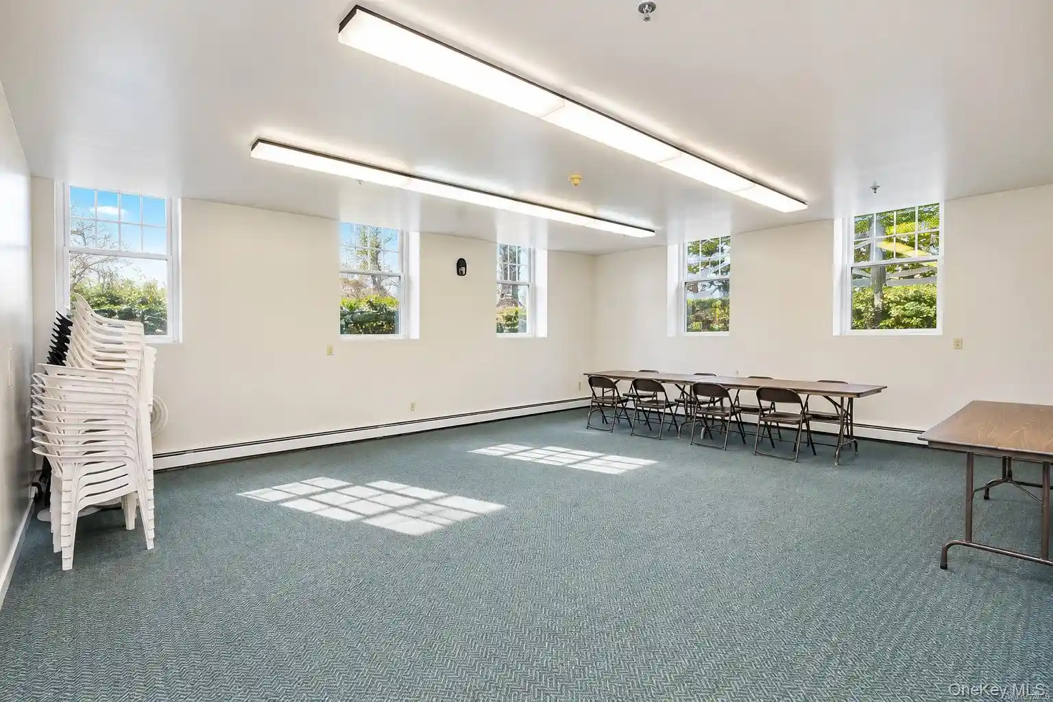 Listing Photo 23 - Condo for sale in 100 Clarewood Dr located at 100 Clarewood Dr, Greenburgh, NY 10706 - Unit #1K