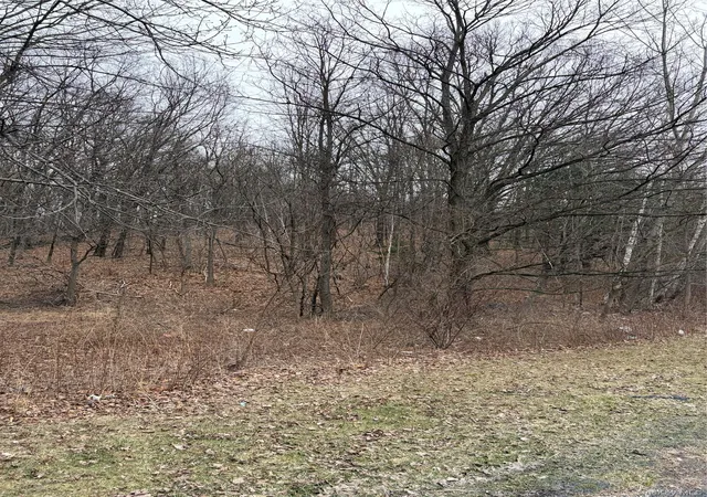 Photo 3 of Land for sale at 3748 US Hwy 9w, Lloyd, NY 12528 | MLS# 1051386 | Listing updated on 2026-09-16
