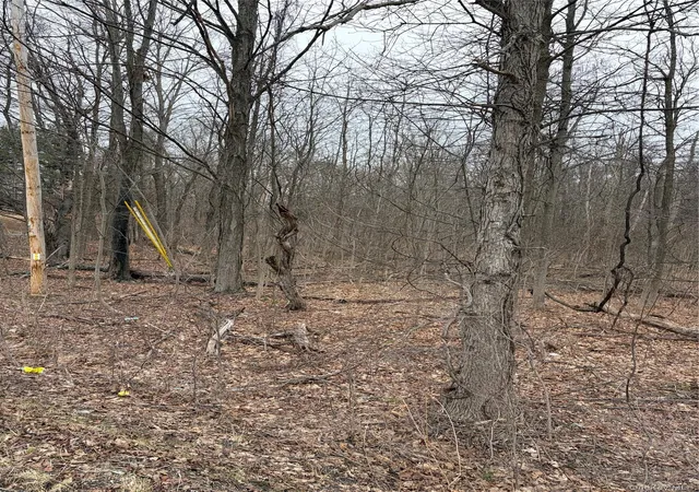 Photo 4 of Land for sale at 3748 US Hwy 9w, Lloyd, NY 12528 | MLS# 1051386 | Listing updated on 2026-09-16