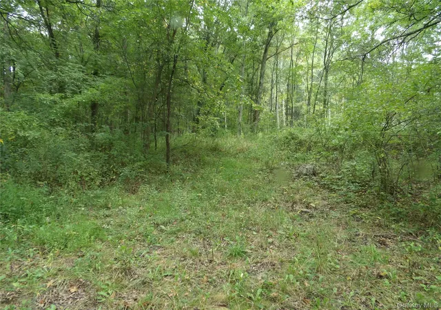 Photo 3 of Land for sale at Bull Rd, New Windsor, NY 12575 | MLS# 1051725 | Listing updated on 2026-10-02