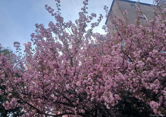 Listing Photo 4 - Condo for sale in building located at 151 Centre, New Rochelle, NY 10805 - Unit #6F