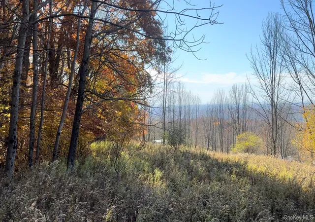 Photo 1 of Land for sale at Chaffee Rd, Liberty, NY 12754 | MLS# 1052310 | Listing updated on 2026-09-19