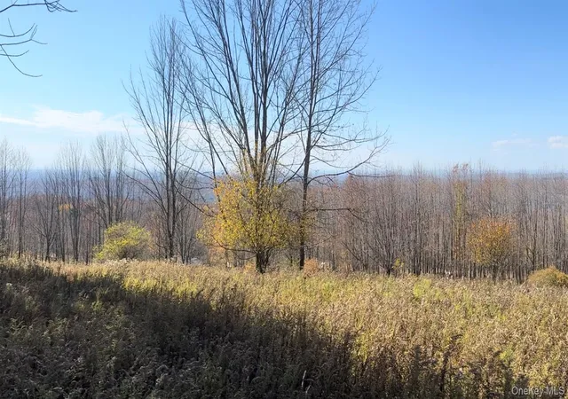 Photo 2 of Land for sale at Chaffee Rd, Liberty, NY 12754 | MLS# 1052310 | Listing updated on 2026-09-19