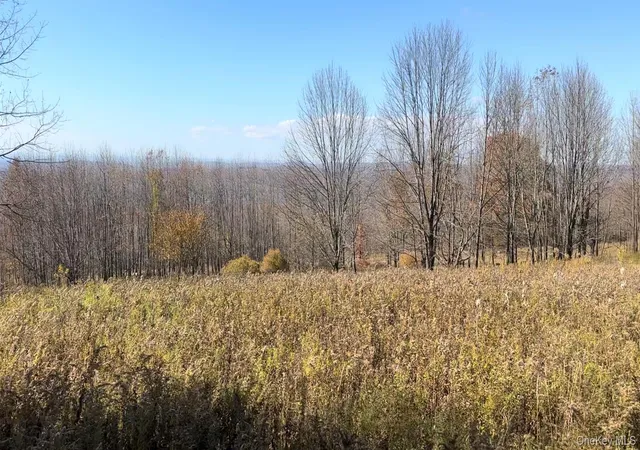 Photo 3 of Land for sale at Chaffee Rd, Liberty, NY 12754 | MLS# 1052310 | Listing updated on 2026-09-19
