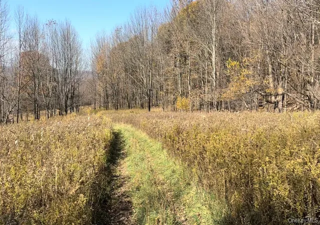 Photo 3 of Land for sale at Chaffee Rd, Liberty, NY 12754 | MLS# 1052310 | Listing updated on 2026-09-19