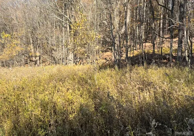 Photo 4 of Land for sale at Chaffee Rd, Liberty, NY 12754 | MLS# 1052310 | Listing updated on 2026-09-19