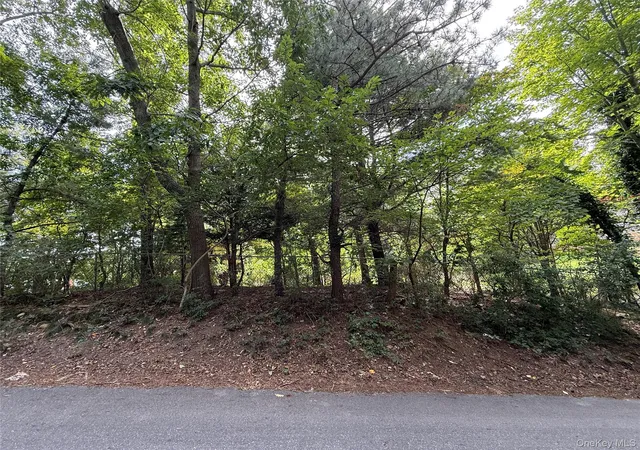 Photo 1 of Land for sale at Vl Overhill Rd, Brookhaven, NY 11778 | MLS# 1052924 | Listing updated on 2026-09-21