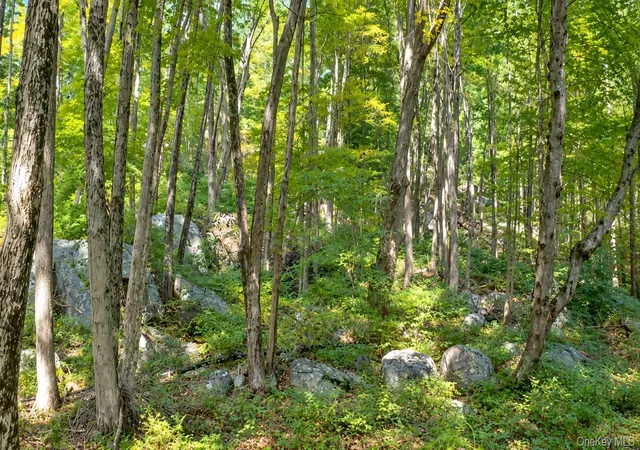Photo 4 of Land for sale at 0 Richardsville Rd, Putnam Valley, NY 10579 | MLS# 1054558 | Listing updated on 2026-10-05