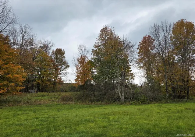 Photo 1 of Land for sale at Lot #21 Herbert Rd, Fremont, NY 12736 | MLS# 1055566 | Listing updated on 2026-10-05
