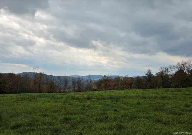 Photo 2 of Land for sale at Lot #21 Herbert Rd, Fremont, NY 12736 | MLS# 1055566 | Listing updated on 2026-10-05