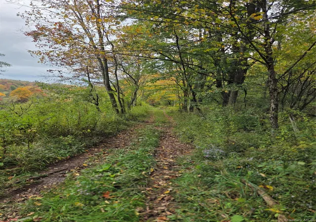 Photo 3 of Land for sale at Lot #21 Herbert Rd, Fremont, NY 12736 | MLS# 1055566 | Listing updated on 2026-10-05