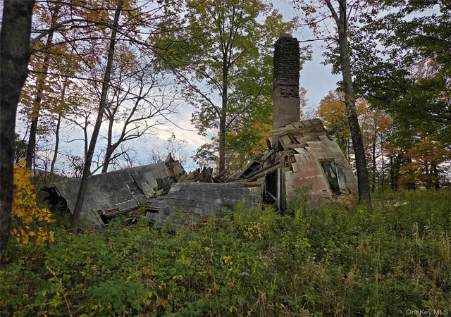 Photo 3 of Land for sale at Lot #21 Herbert Rd, Fremont, NY 12736 | MLS# 1055566 | Listing updated on 2026-10-05