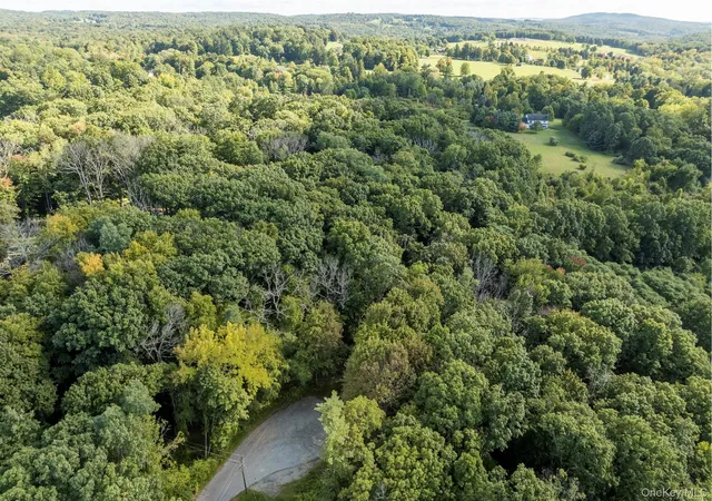 Photo 1 of Land for sale at 59 Linden Ln S, Washington, NY 12545 | MLS# 1055783 | Listing updated on 2026-10-05