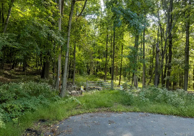 Photo 2 of Land for sale at 59 Linden Ln S, Washington, NY 12545 | MLS# 1055783 | Listing updated on 2026-10-05