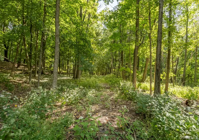 Photo 3 of Land for sale at 59 Linden Ln S, Washington, NY 12545 | MLS# 1055783 | Listing updated on 2026-10-05