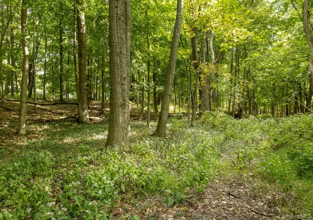 Photo 3 of Land for sale at 59 Linden Ln S, Washington, NY 12545 | MLS# 1055783 | Listing updated on 2026-10-05