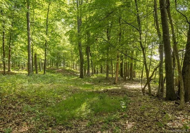 Photo 4 of Land for sale at 59 Linden Ln S, Washington, NY 12545 | MLS# 1055783 | Listing updated on 2026-10-05