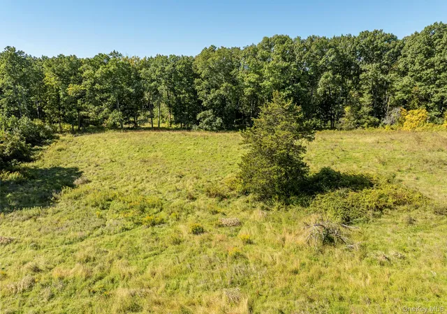 Photo 3 of Land for sale at 78 Fox Ln, Clermont, NY 12583 | MLS# 1056080 | Listing updated on 2026-09-30