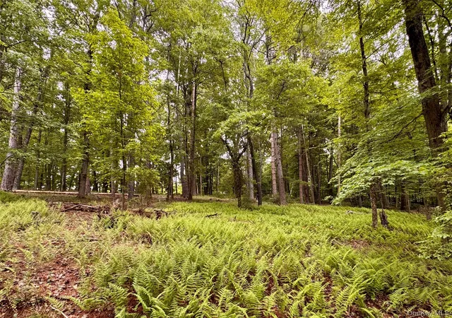 Photo 1 of Land for sale at 126 Dean Hl Rd, New Windsor, NY 12553 | MLS# 1056102 | Listing updated on 2026-09-29