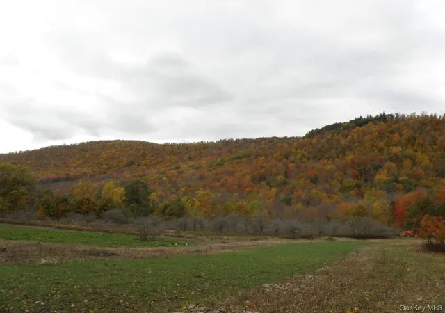Photo 1 of Land for sale at Gregory Holw Rd, Hamden, NY 13782 | MLS# 1056332 | Listing updated on 2026-10-12
