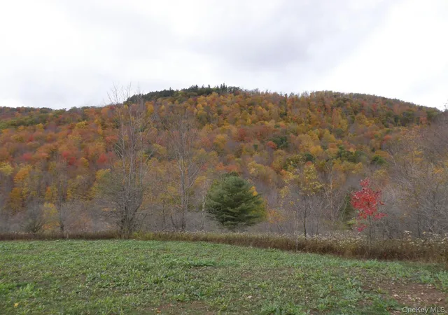 Photo 2 of Land for sale at Gregory Holw Rd, Hamden, NY 13782 | MLS# 1056332 | Listing updated on 2026-10-12
