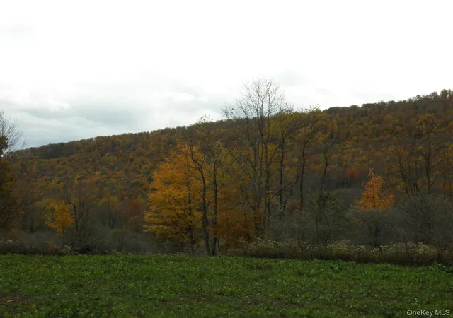 Photo 3 of Land for sale at Gregory Holw Rd, Hamden, NY 13782 | MLS# 1056332 | Listing updated on 2026-10-12