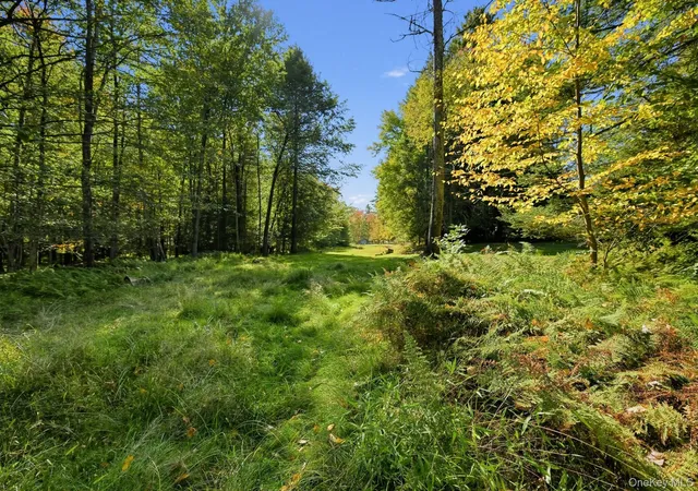 Land for sale at 118 Weiser Rd, Wawarsing, NY 12428 | MLS# 1056361