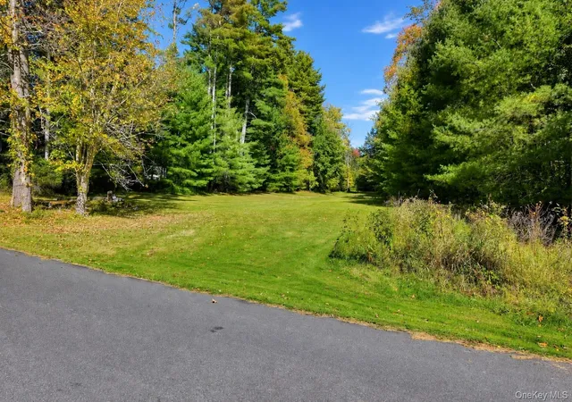 Photo 3 of Land for sale at 118 Weiser Rd, Wawarsing, NY 12428 | MLS# 1056361 | Listing updated on 2026-10-13