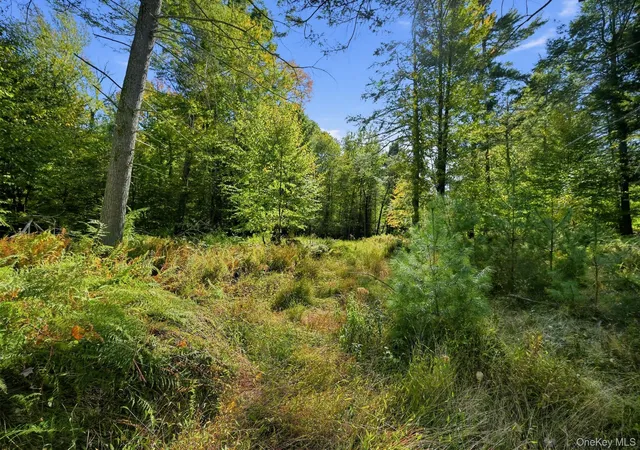 Photo 3 of Land for sale at 118 Weiser Rd, Wawarsing, NY 12428 | MLS# 1056361 | Listing updated on 2026-10-13