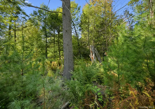 Photo 4 of Land for sale at 118 Weiser Rd, Wawarsing, NY 12428 | MLS# 1056361 | Listing updated on 2026-10-13