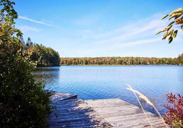 Photo 3 of Single family home for sale at 452 White Roe Lake Rd, Rockland, NY 12758 | MLS# 1056852 | Listing updated on 2026-10-05