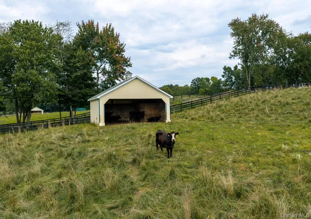 Photo 3 of Land for sale at Ruskey Ln, Clinton, NY 12538 | MLS# 1057061 | Listing updated on 2026-10-01