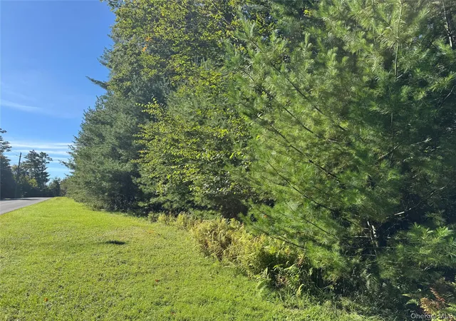Photo 1 of Land for sale at Lot 1 Chapin Trl, Bethel, NY 12720 | MLS# 1058617 | Listing updated on 2026-10-06