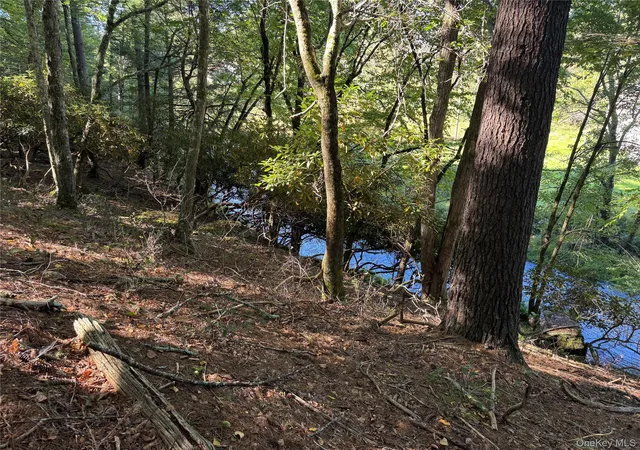 Photo 3 of Land for sale at Lot 1 Chapin Trl, Bethel, NY 12720 | MLS# 1058617 | Listing updated on 2026-10-06