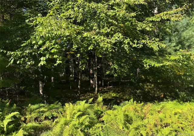 Photo 3 of Land for sale at Lot 1 Chapin Trl, Bethel, NY 12720 | MLS# 1058617 | Listing updated on 2026-10-06