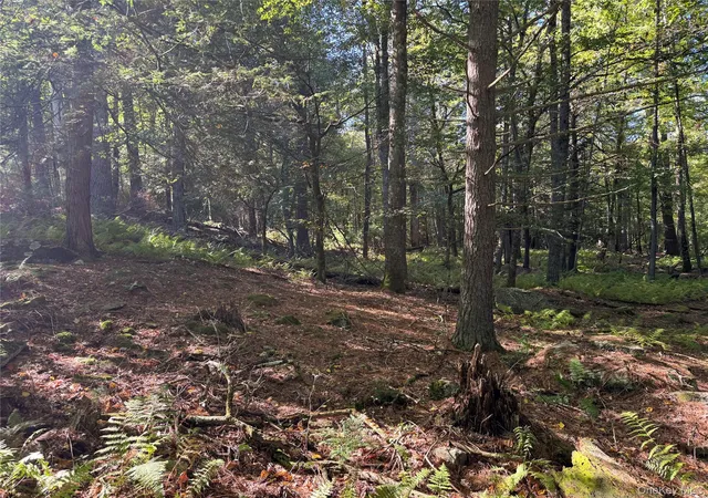 Photo 4 of Land for sale at Lot 1 Chapin Trl, Bethel, NY 12720 | MLS# 1058617 | Listing updated on 2026-10-06