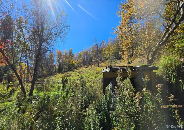 Photo 2 of Land for sale at 55 Lily Pond Rd, Parksville, NY 12768 | MLS# 1059006 | Listing updated on 2026-10-09