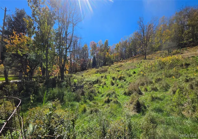 Photo 3 of Land for sale at 55 Lily Pond Rd, Parksville, NY 12768 | MLS# 1059006 | Listing updated on 2026-10-09