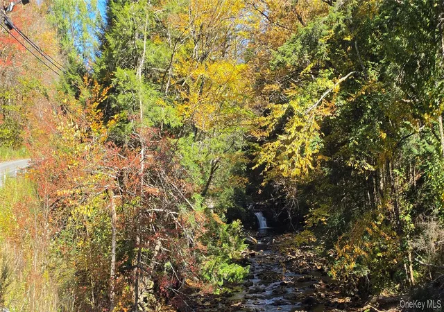 Photo 3 of Land for sale at 55 Lily Pond Rd, Parksville, NY 12768 | MLS# 1059006 | Listing updated on 2026-10-09
