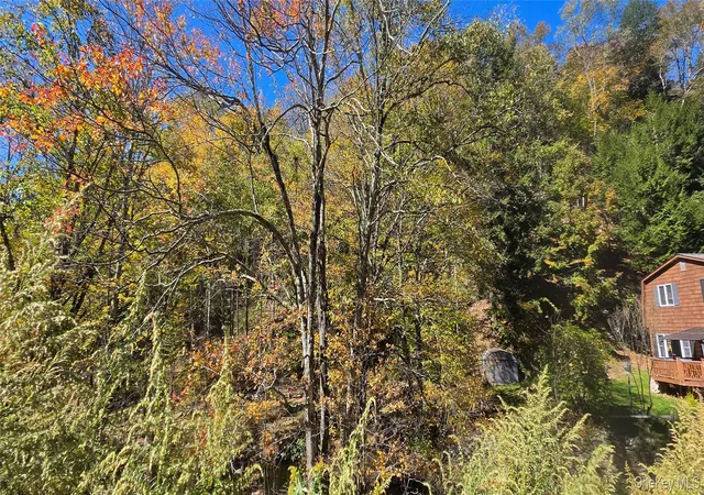 Photo 4 of Land for sale at 55 Lily Pond Rd, Parksville, NY 12768 | MLS# 1059006 | Listing updated on 2026-10-09