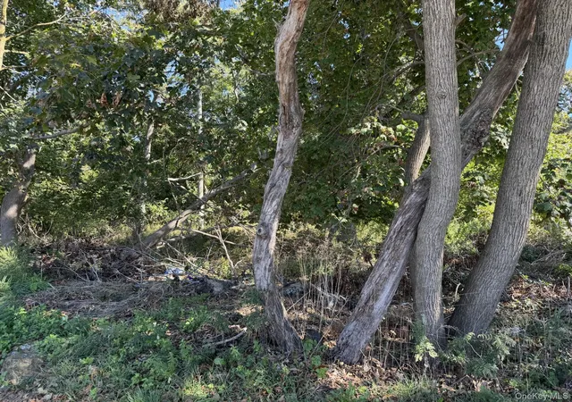 Photo 1 of Land for sale at 70 Old Quogue Rd, Riverhead, NY 11901 | MLS# 1059781 | Listing updated on 2026-10-07