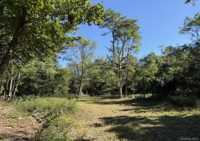 Land for sale at 0 Private Rd, Brookhaven, NY 11719 | MLS# 1059788