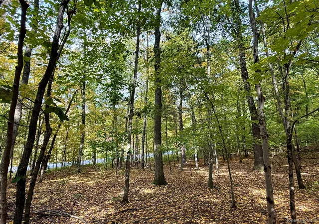 Photo 1 of Land for sale at Fiddlers Brg Rd, Staatsburg, NY 12580 | MLS# 1060164 | Listing updated on 2026-10-09