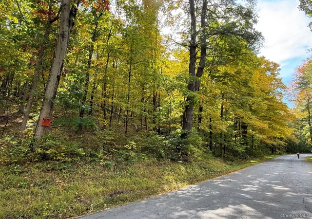Photo 3 of Land for sale at Fiddlers Brg Rd, Staatsburg, NY 12580 | MLS# 1060164 | Listing updated on 2026-10-09