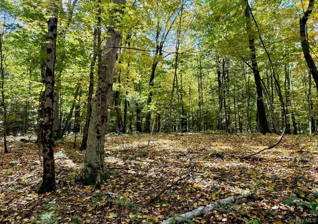 Photo 3 of Land for sale at Fiddlers Brg Rd, Staatsburg, NY 12580 | MLS# 1060164 | Listing updated on 2026-10-09
