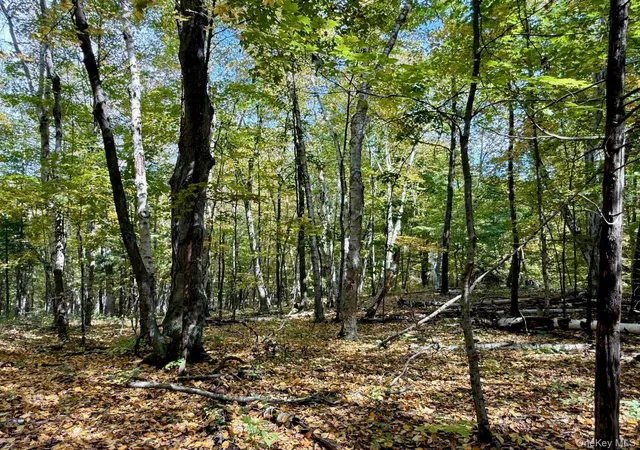 Photo 4 of Land for sale at Fiddlers Brg Rd, Staatsburg, NY 12580 | MLS# 1060164 | Listing updated on 2026-10-09